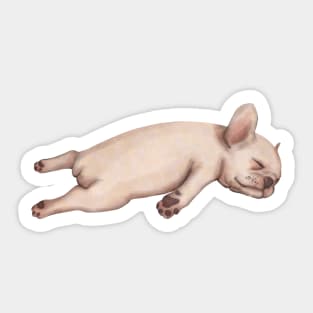 Puppy Frenchie sleeping Sticker